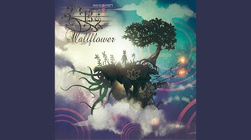 Wallflower (feat. Jake Howsam Lowe)