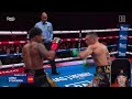 Every Jab Shakur Stevenson Landed vs Teofimo Lopez (Punishing)
