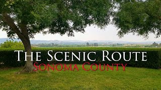 The Scenic Route Sonoma Valley Wine Country with Crushed Grape Chronicles