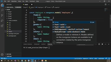 Validator NPM in Node js | NPM Validator