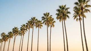 Serene Beach Ambiance | Healing Waves and Soft Music for Tranquility screenshot 3