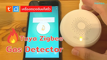 รีวิว เครื่องตรวจจับแก๊สรั่ว Tuya Zigbee Gas Detector | Homeo