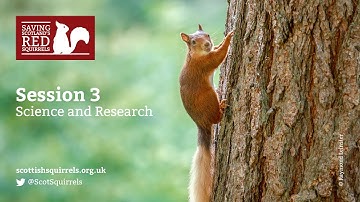 Day 1 Session 3: Spacial ecology of grey squirrels in an urban environment