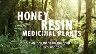 Green Economy: Vietnam
