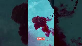 See How Dye Detects Pool Leaks Net Worth