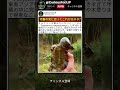 頭が大きすぎる謎のカメ