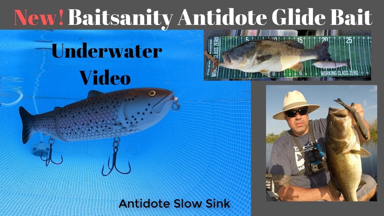 Baitsanity Antidote Glide Bait Underwater Video Plus Cast to Catch