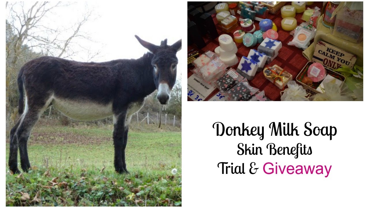 Donkey Milk Soap: Trial & Research