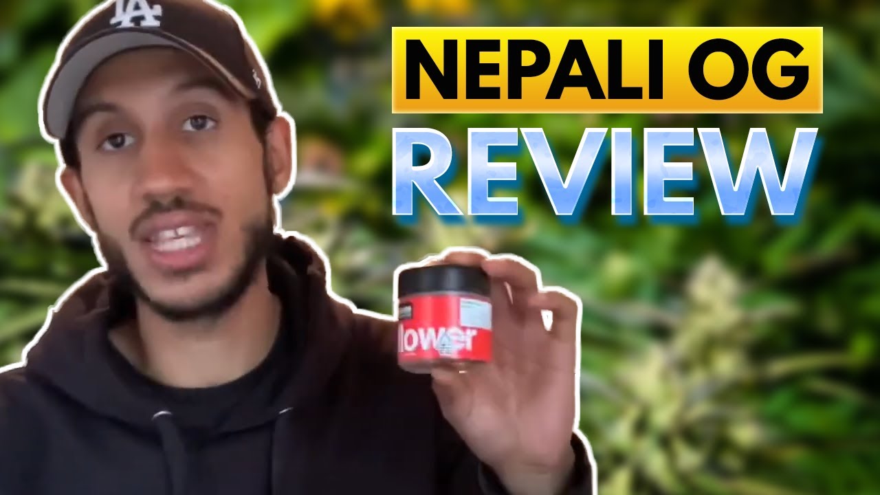 Nepali OG Weed Review House Weed Review YouTube