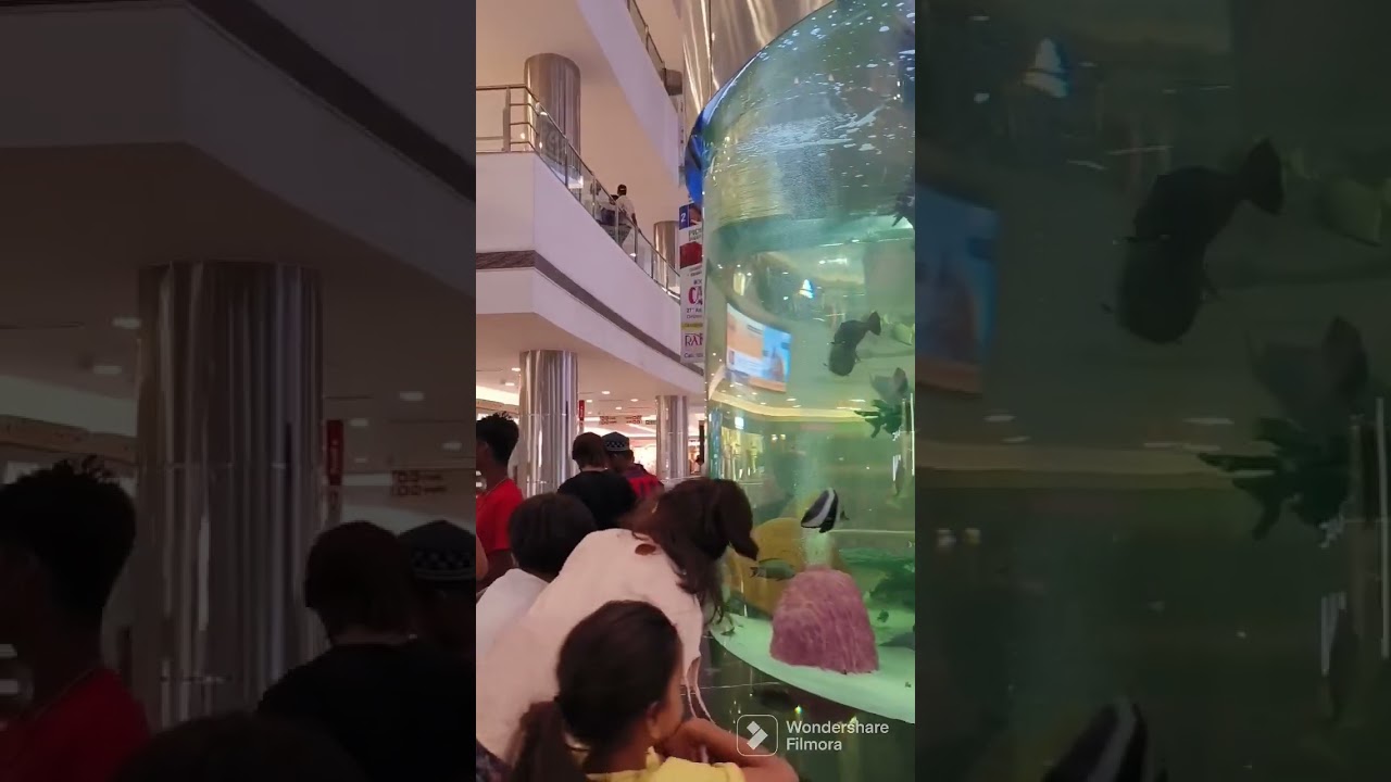 GVK mall ,Banjara hills, Hyderabad