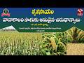 🌾 రైతుమిత్ర – వ్యవసాయం | వానాకాలం సాగుకు అనువైన చిరుధాన్యాలు | డా. ఎస్. మహేశ్వరమ్మ | T-SAT