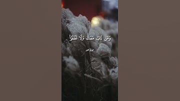 القارئ عبدالعزيز الدبيخي #quran