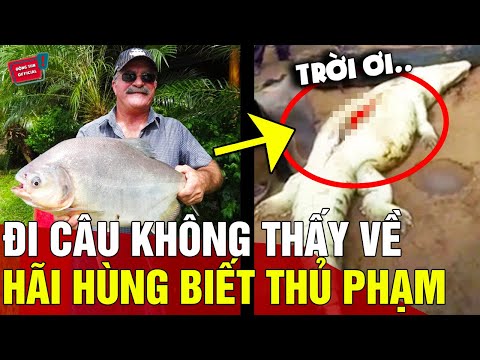 Video: Triển lãm 