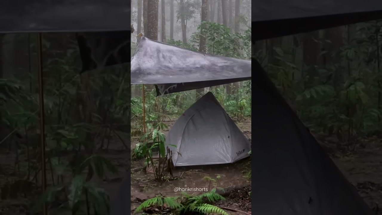 REALLY HEAVY RAIN OUTSIDE THE TENT Shorts