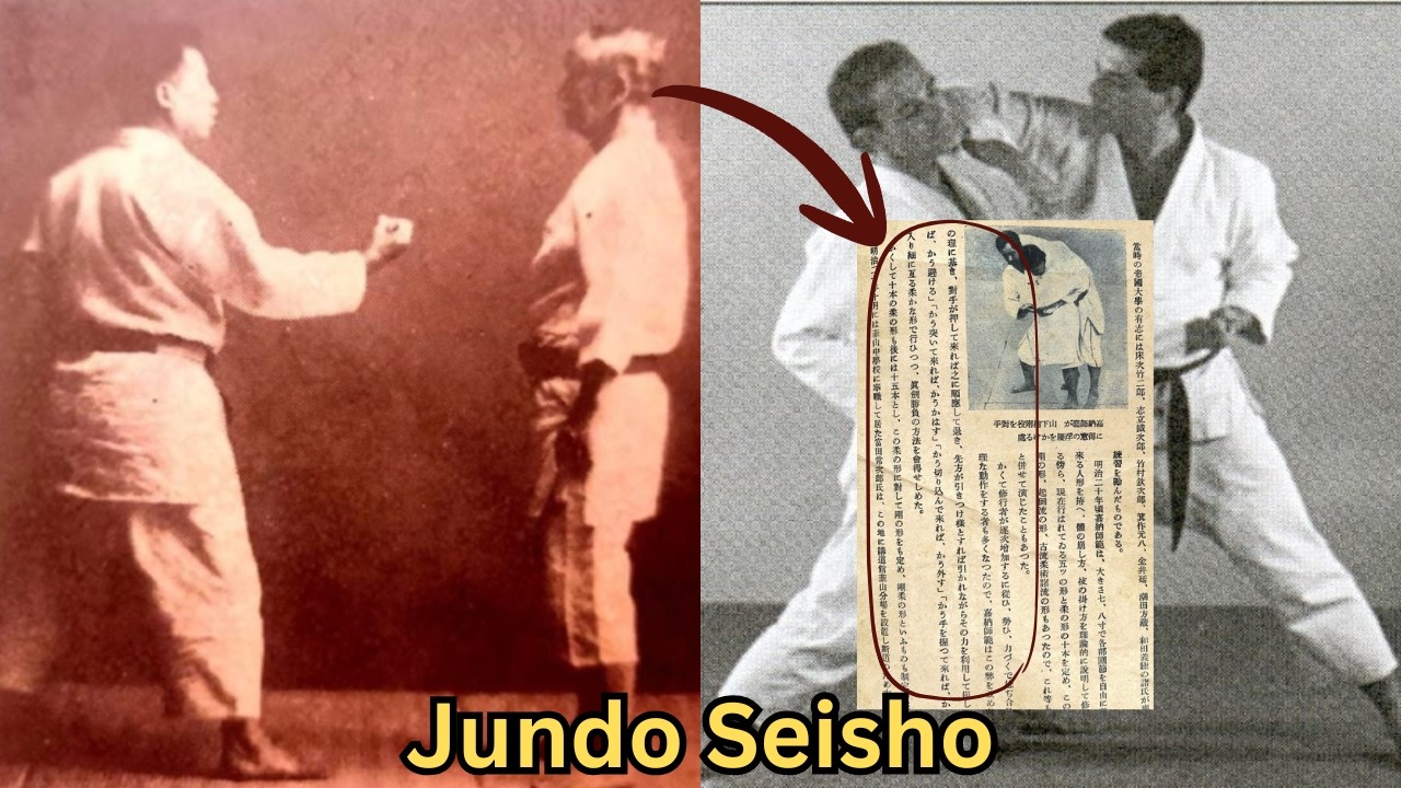 Есть основания полагать, что в древнем дзюдо были ударные приемы??? Концепция «дзюдо сэйсё»