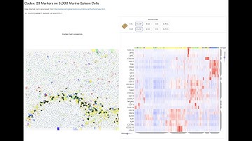 CODEX Single Cell Multiplexed Imaging Analysis using Clustergrammer2