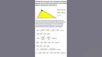 1° TEOREMA DI EUCLIDE (problema 123) #geomaticaeasy