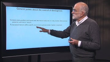 6.1 The Evolution of Reproduction: Mammalian Reproduction