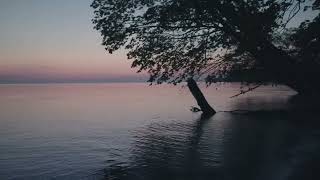 The Advocate: Jesus' Ever-Present Holy Spirit