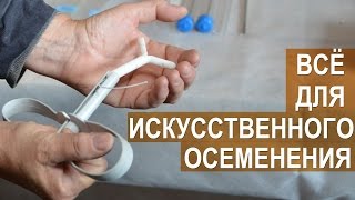 Оборудование для искусственного осеменения овец и коз. Фролова Е.И. Оборудование для искусственного осеменения овец и коз. Фролова Е.И.