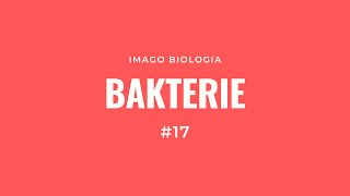 Bakterie