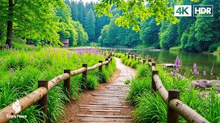 Beautiful Relaxing Music 2016 - Stop Overthinking, Stress Relief Music, Sleep Music, Calming Music screenshot 4