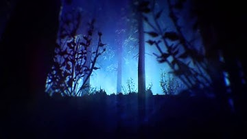 TO  Activision Support  in error