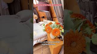 Das Ist Mein Lieblingszimmertyp.