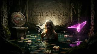 Tani Sje Ma _ Hitetshqip 2026