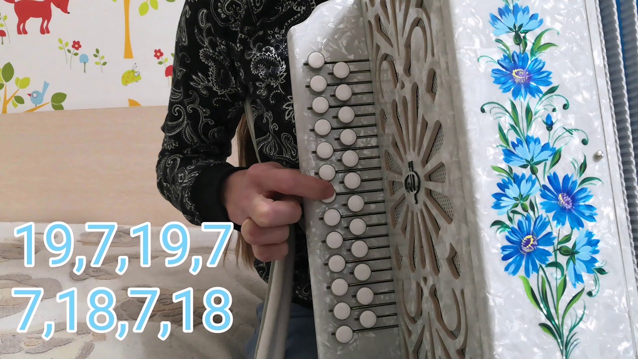 цыганочка на гармони в цифрах. цыганочка с частушками под гармонь. и. цыганочка по цифрам на гармони. цыган с гармонью.