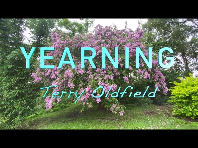 Terry Oldfield - Yearning