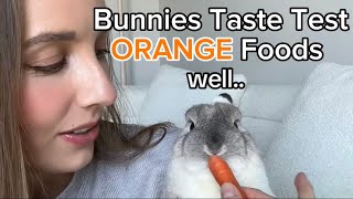 Bunnies Try Orange Foods by The Lexi Bunch 261 views 3 weeks ago 1 minute, 41 seconds