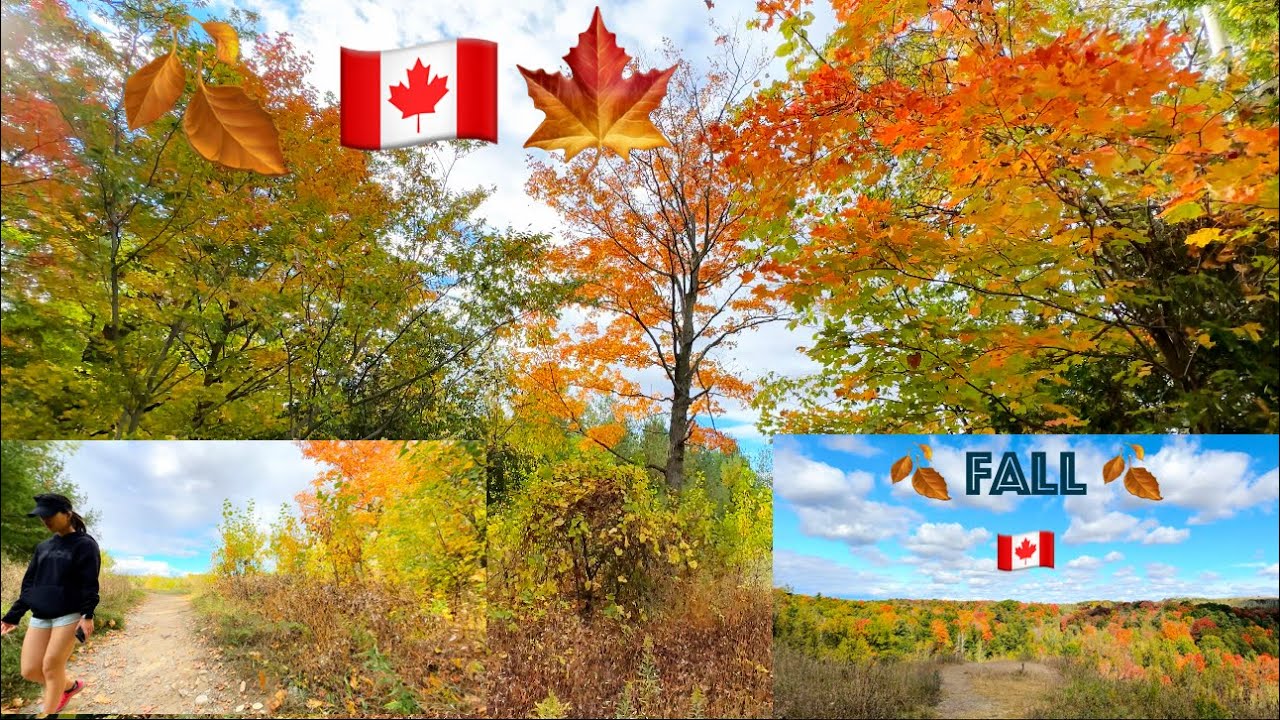 Hiking in Toronto - Rouge National Urban Park - Exploring Serenity Amidst Nature's Palette 🍂