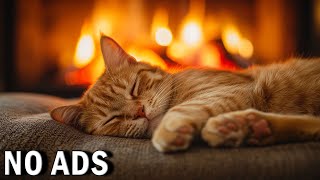 1 Hour of Calming Cat Music 🎵 Reduce Stress and Promote Deep Sleep 💤🐾