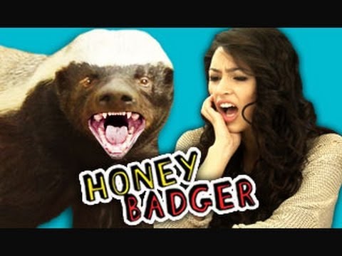 Teens React to the Honey Badger (ft. Alex Steele!)