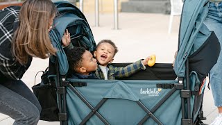 2024 Larktale caravan™ Quad Stroller/Wagon