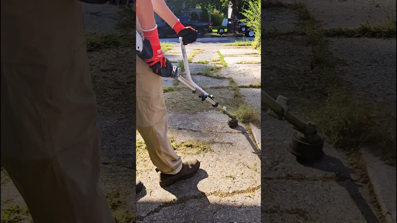 Weeds In Cracks 🌿 