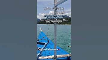 سورة القارعه. Palawan Philippines 🇵🇭 #المصحف #اكسبلور #القزابري #airplane