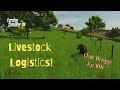 Oak Bridge | Ep 108: Livestock Logistics! | Farm Sim 25 | Vintage Survival | Let's Play | PS5