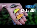 A classic crankbait  the salmo hornet is a legendary crankbait