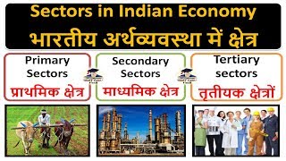 Sectors of Indian Economy -  Primary, Secondary and Tertiary sectors Detail Study in Hindi By VeeR screenshot 4