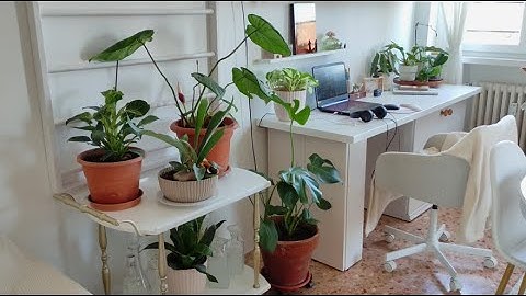I transformed another piece of furniture in the living room