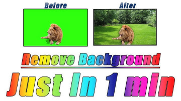 How To Change And Remove Video Background Just In 1 min | Camtasia