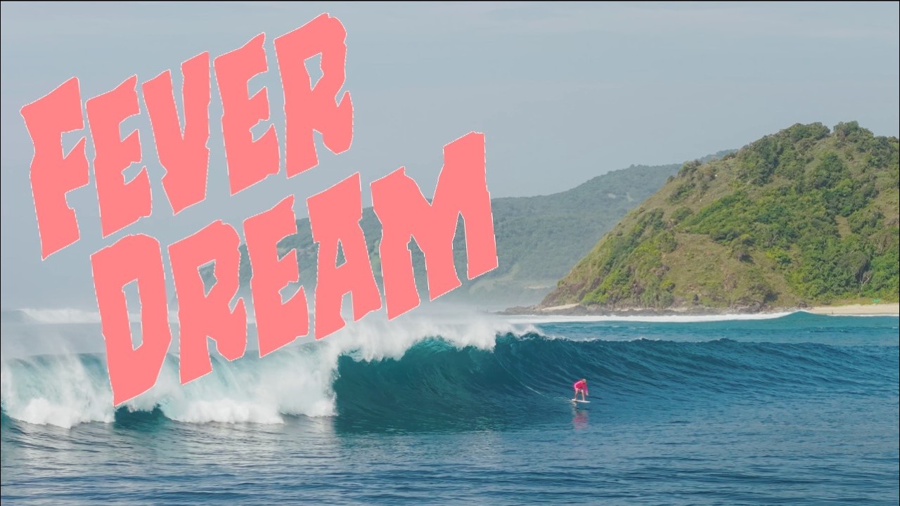 FEVER DREAM