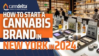 How to Start Your Own Cannabis Brand in New York in 2024: What is a Type 3 Processor License?