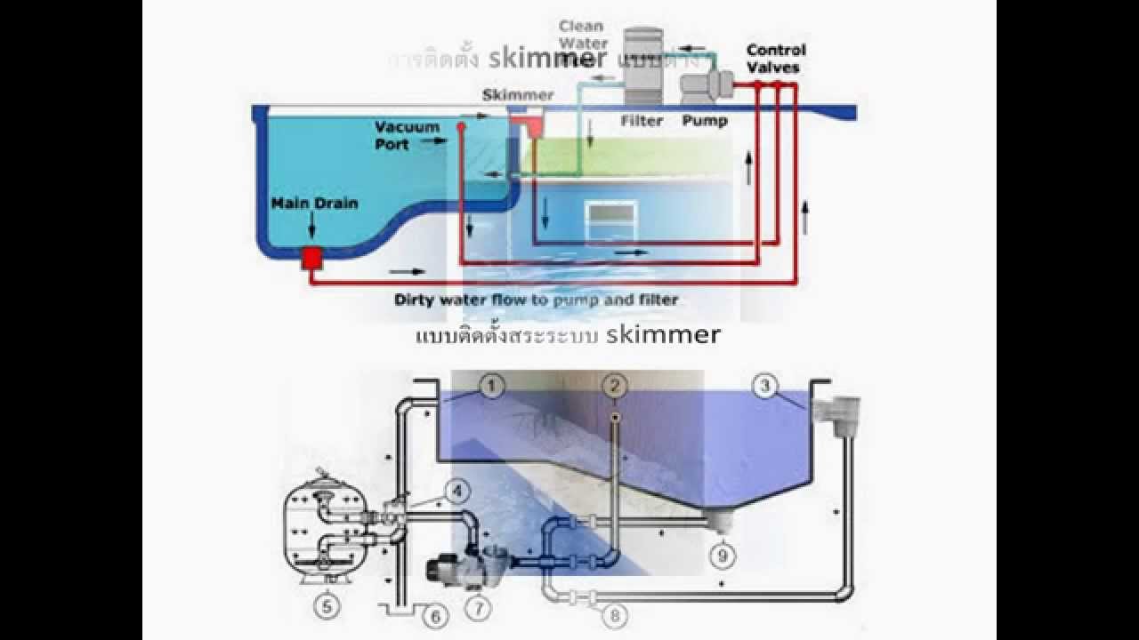 ประเภทสระว่ายน้ำ สระน้ำล้น Overflow สระสกิมเมอร์ Skimmer By winwin pool -  YouTube