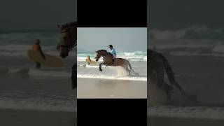 Bareback beach edit 🌊💖 || Video credits - @elphick.event.ponies #shorts