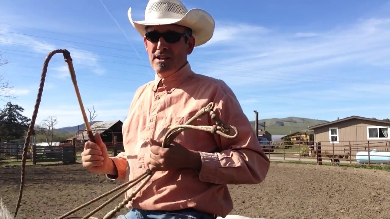 Training a horse to having a whip cracked off him in one minute