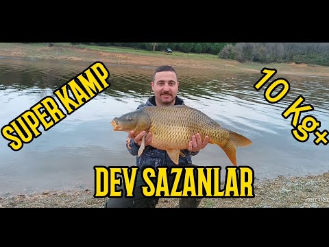 Sazan Avı Ömerli 10Kg #keşfet #carpfishing #carp #sazan