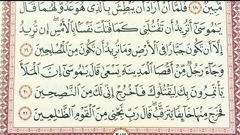تلاوه ترق لها القلوب وتقشعر منها الأبدان وما تيسر من سورة القصص بصوت الاستاذ محمد ربيع 💯